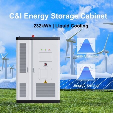 Energy Storage Cabinet 232kWh 1